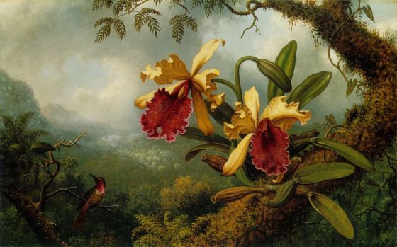Martin-Johnson-Heade-Orchid-and-Hummingbird001