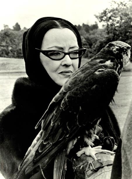 bette falcon