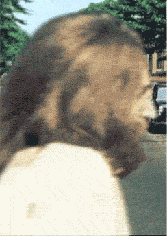 beatles abbey road GIF 252