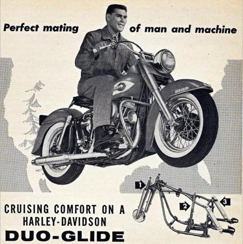 harley 134