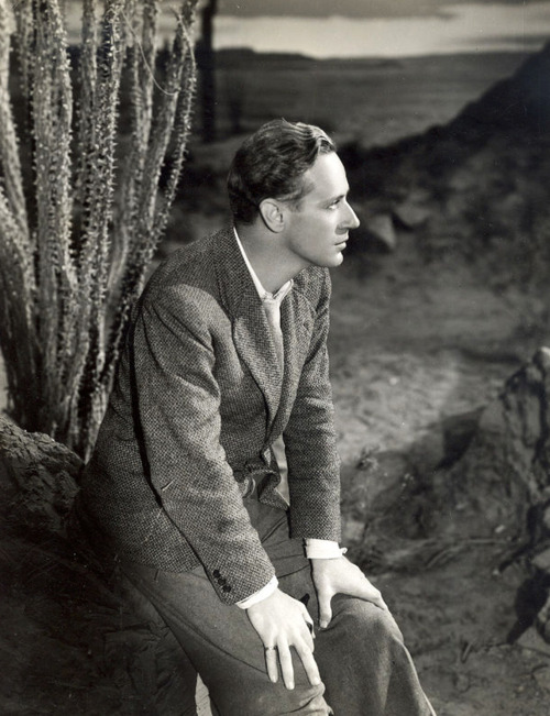 leslie howard the painted desert