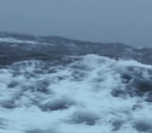 ocean 33501 GIF