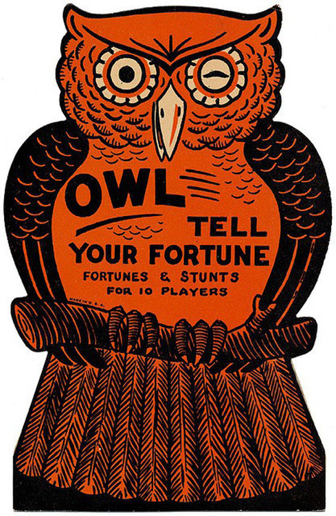 owl fortune