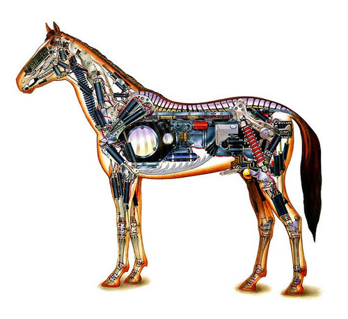 Robo-Horse