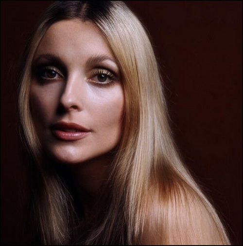 sharon tate 500