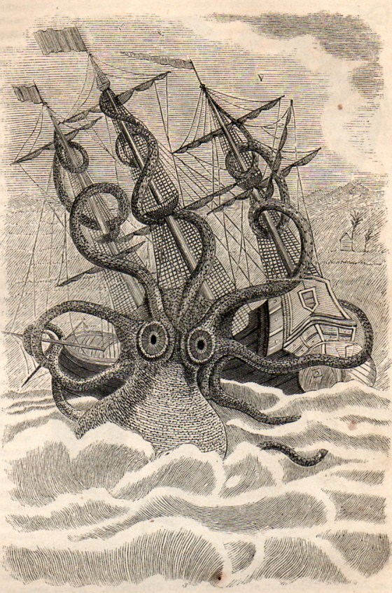 octopus