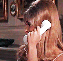 sharon tate phone GIF