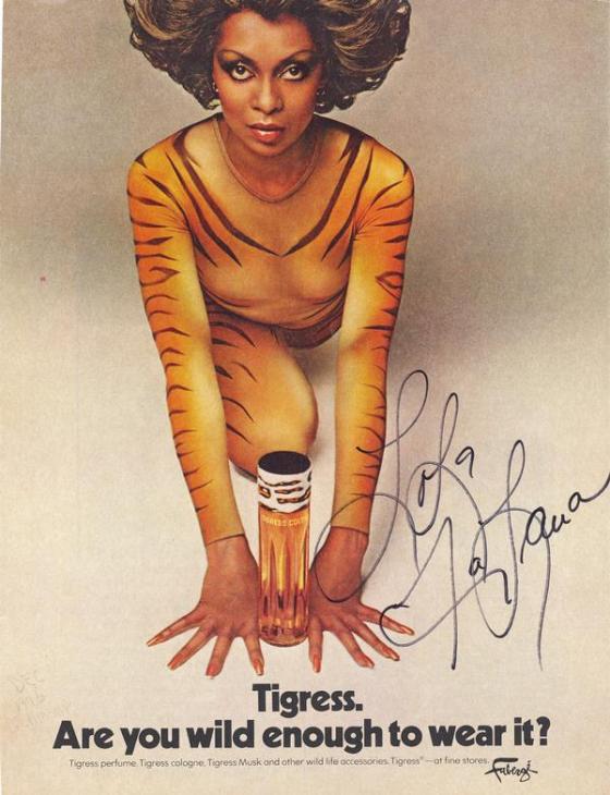 tigress
