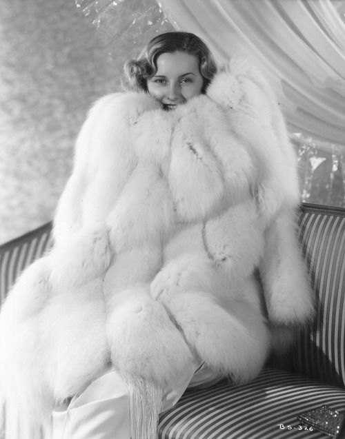 barb stan fur
