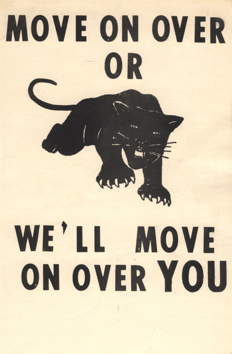panther move on over