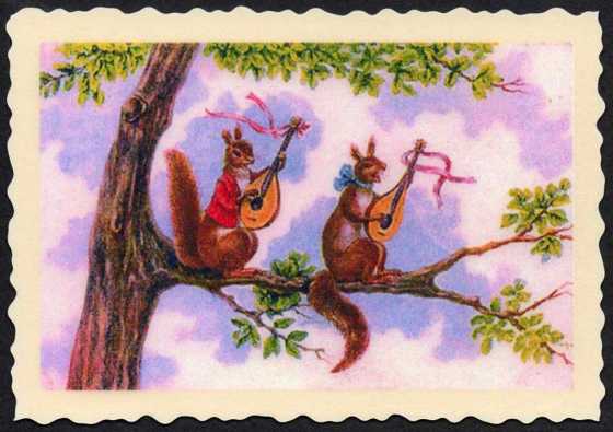 2 squirrels