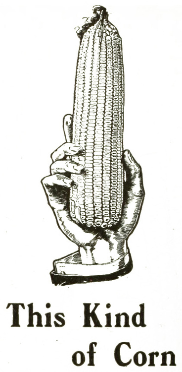 corn 141