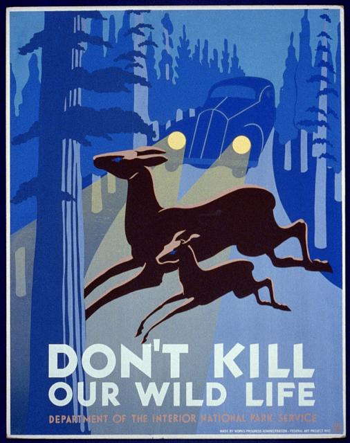 dont kill our wild life