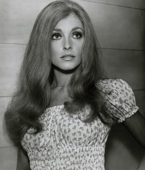 sharon tate 3345