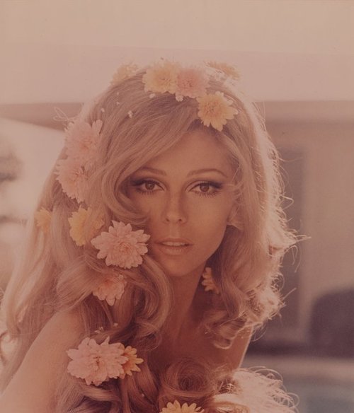 sharon tate 23