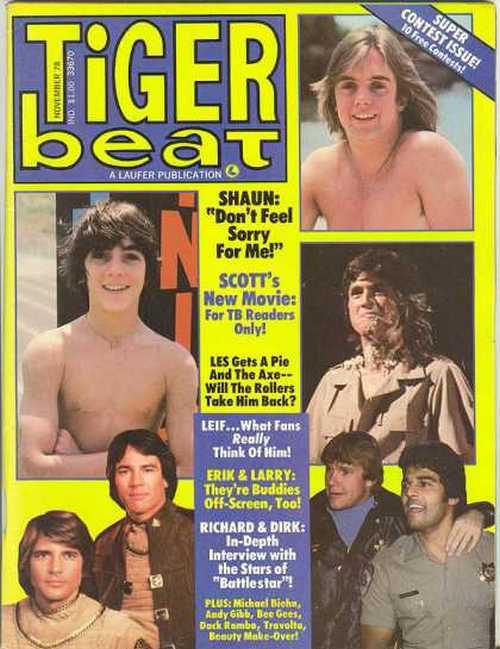 tiger beat 1970s