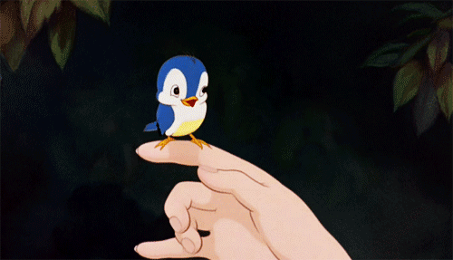 bluebird GIF