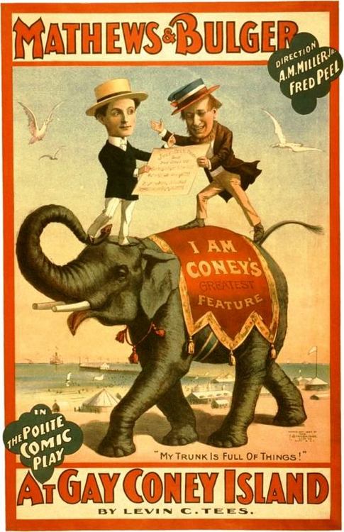 gay coney island 500