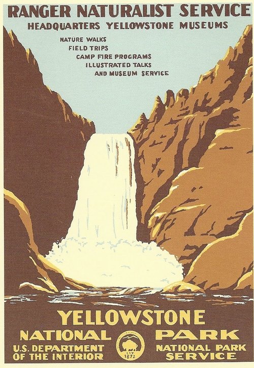 national park yellowstone 501