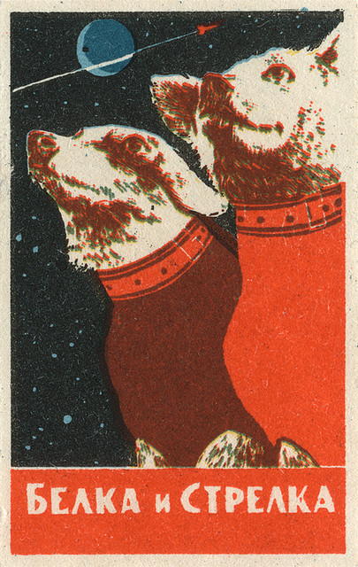 soviet dog space