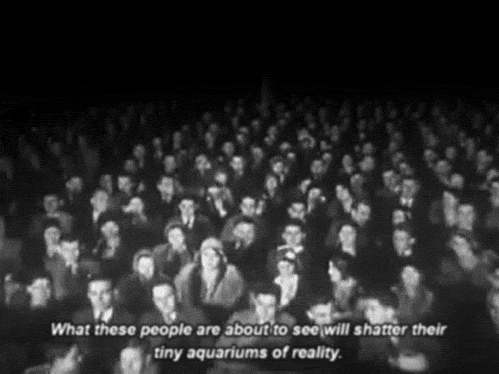 aquariums of reality GIF
