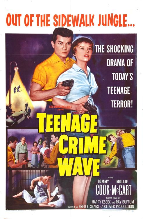 TEENAGE CRIME WAVE 500