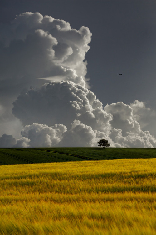 clouds carlos gotay