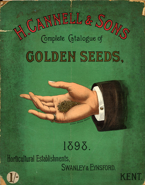 seeds 1898
