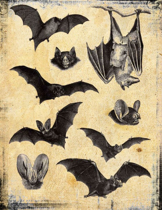bat1282