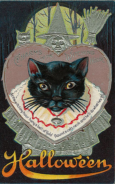 black cat halloween8972