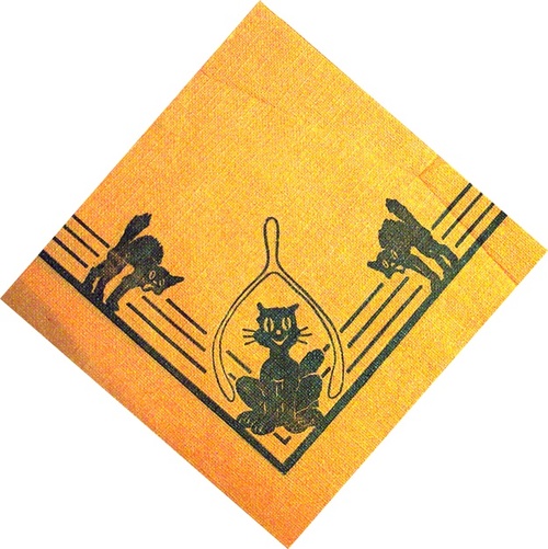 black cat halloween8974