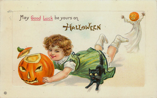 black cat halloween8977