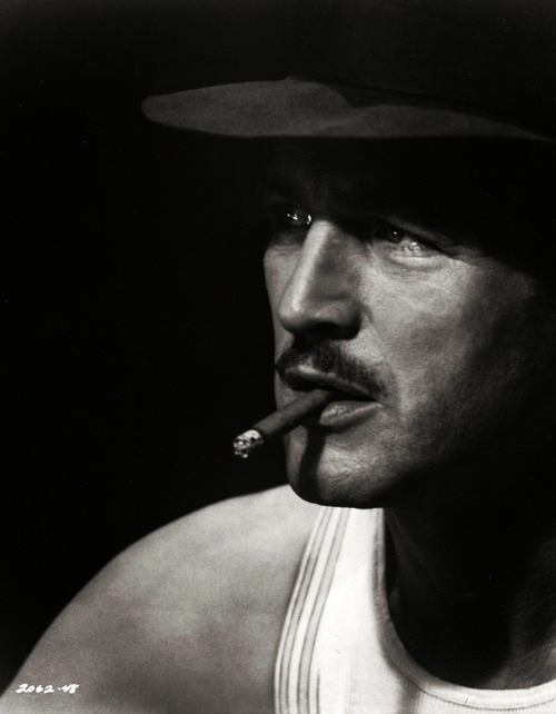 paul newman sting 73