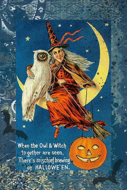 witch halloween 2524