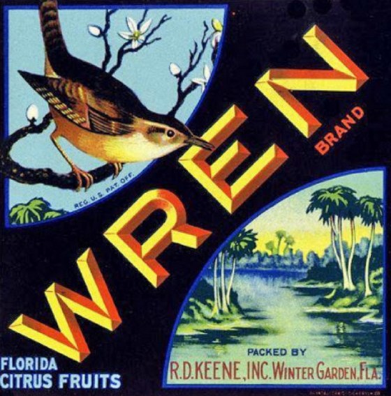 bird wren label