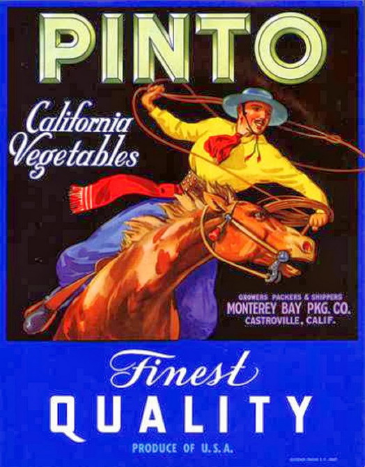 cowboy pinto