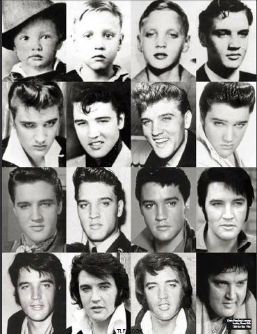 elvis evolution