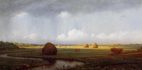 MartinJohnsonHeade 1