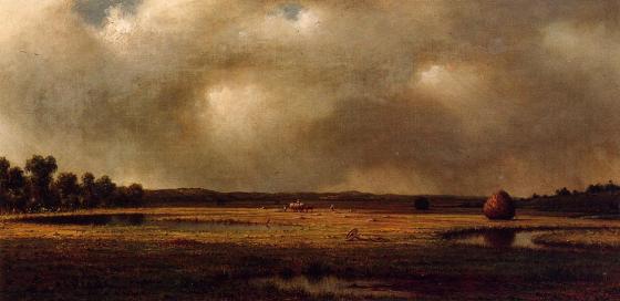 MartinJohnsonHeade 3