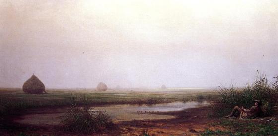 MartinJohnsonHeade 4