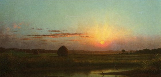 MartinJohnsonHeade 5