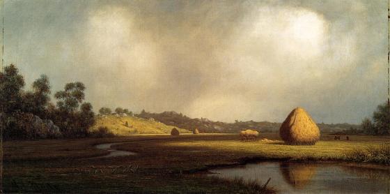 MartinJohnsonHeade 6