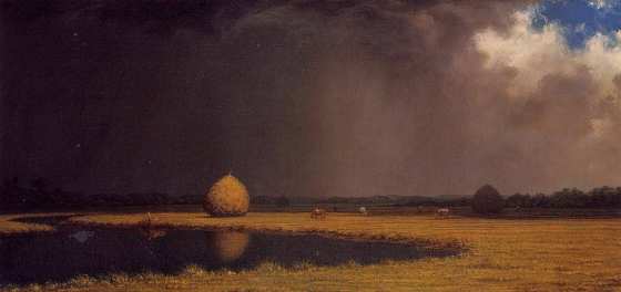MartinJohnsonHeade 7