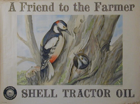 Shell Tractor Oil 2