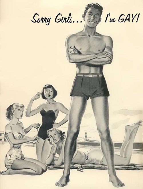 sorry i'm gay