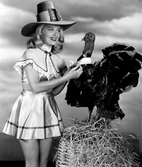 starlet thanksgiving 403