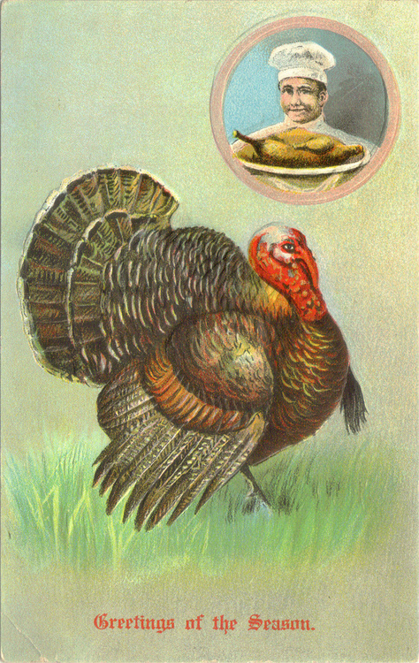 thanksgiving 3426