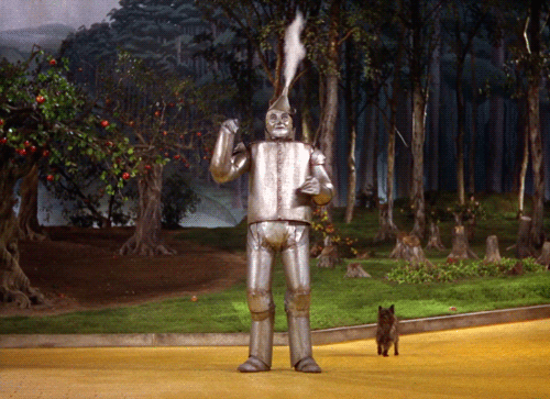 WIZARD OF OZ GIF 500