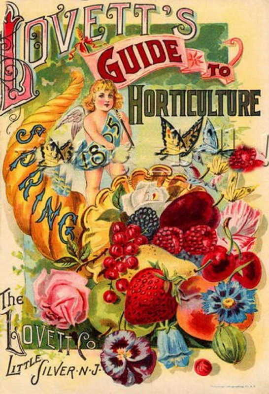 HORTICULTURE GUIDE