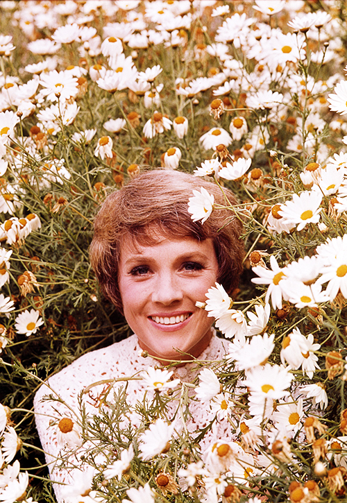 julie andrews daisies